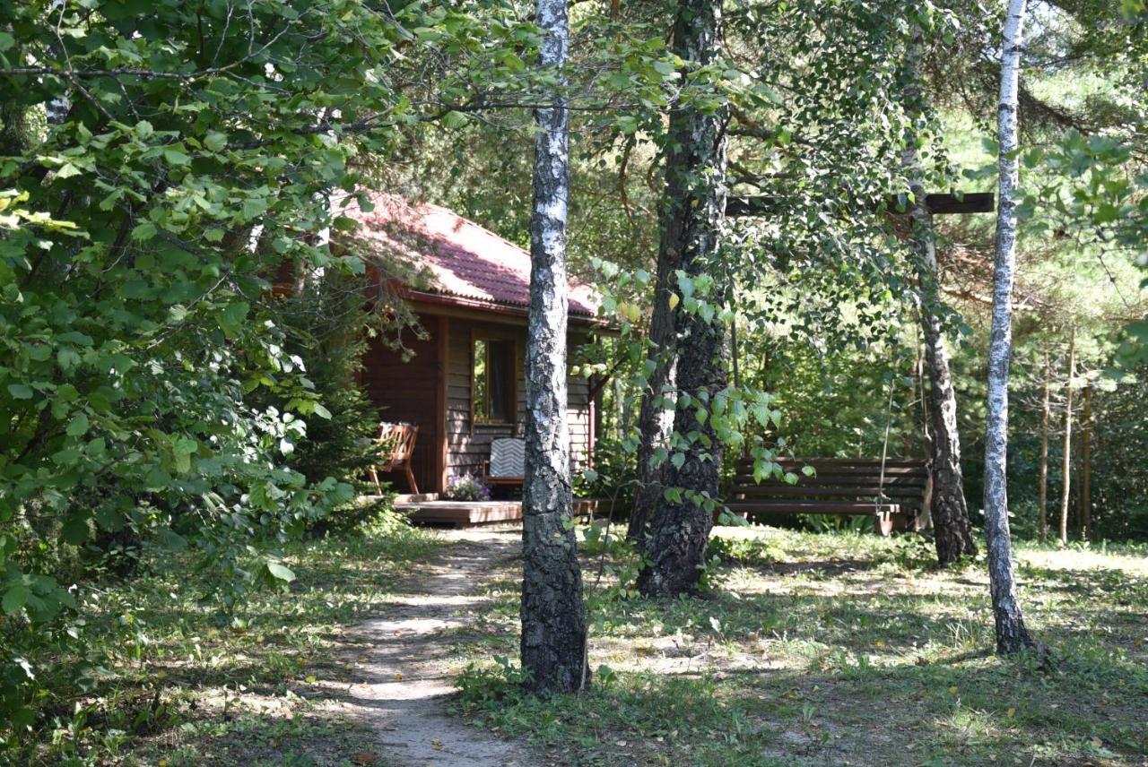 Berzu Namelis - Birch Cabin Kuciunai Exterior photo