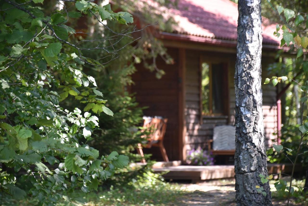 Berzu Namelis - Birch Cabin Kuciunai Exterior photo