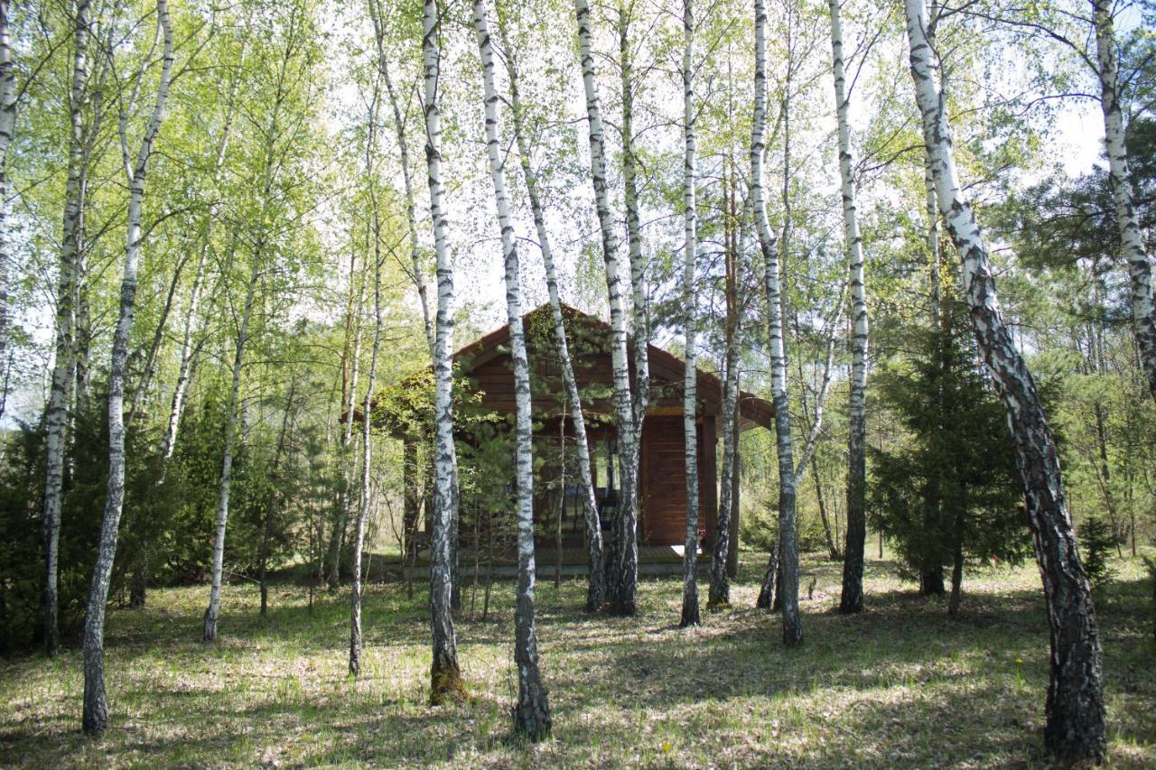 Berzu Namelis - Birch Cabin Kuciunai Exterior photo